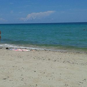 Meet your Posher, Harold